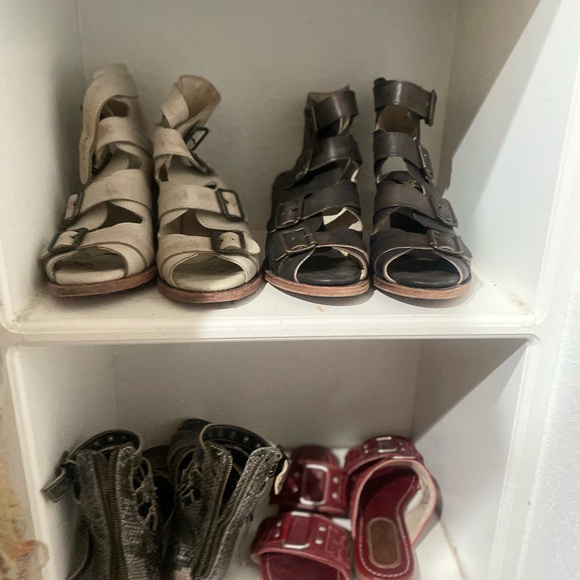 Meet your Posher, Rosanna - Picture 14 of 16